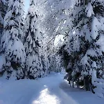 Haus Alpengluehn * Iselsberg