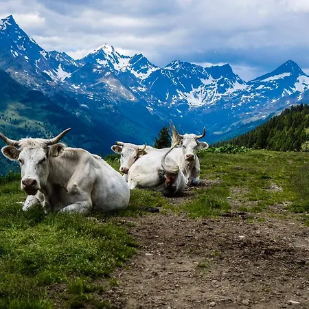 Haus Alpengluehn Апартаменты *