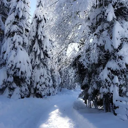 Haus Alpengluehn * Iselsberg