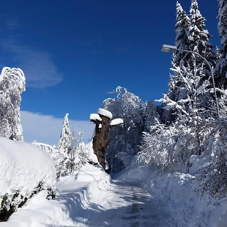 Haus Alpengluehn 아파트