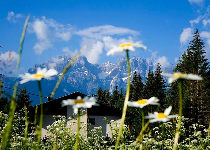Appartement Haus Alpengluehn Iselsberg