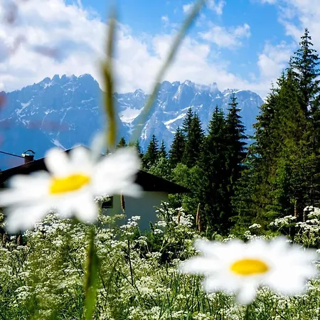 شقة Haus Alpengluehn *
